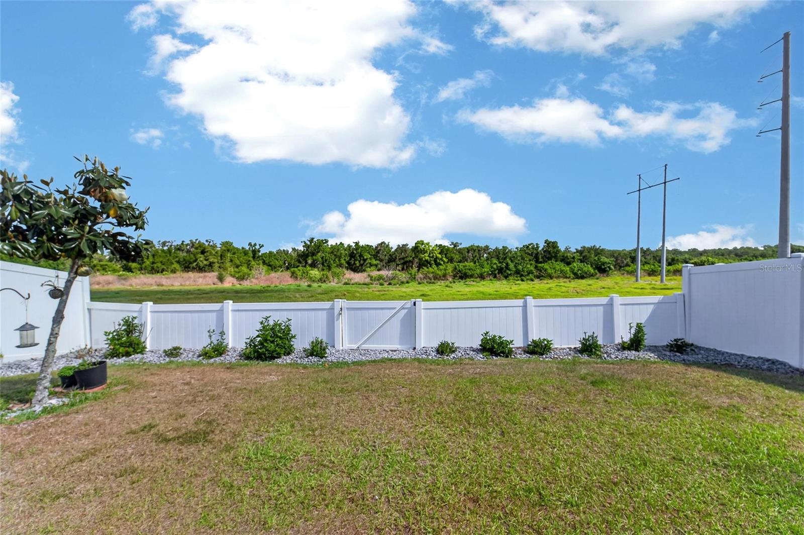 11176 LELAND GROVES DR, RIVERVIEW, FL, 33579