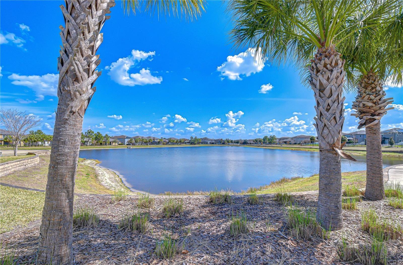 11176 LELAND GROVES DR, RIVERVIEW, FL, 33579