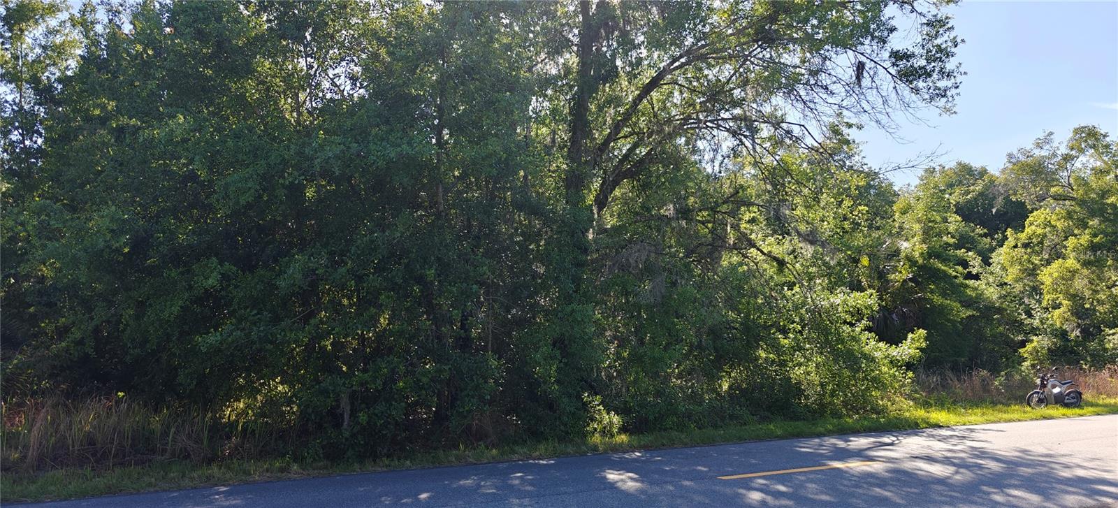 Lot 114 N GOODMAN RD, KISSIMMEE, FL, 34747