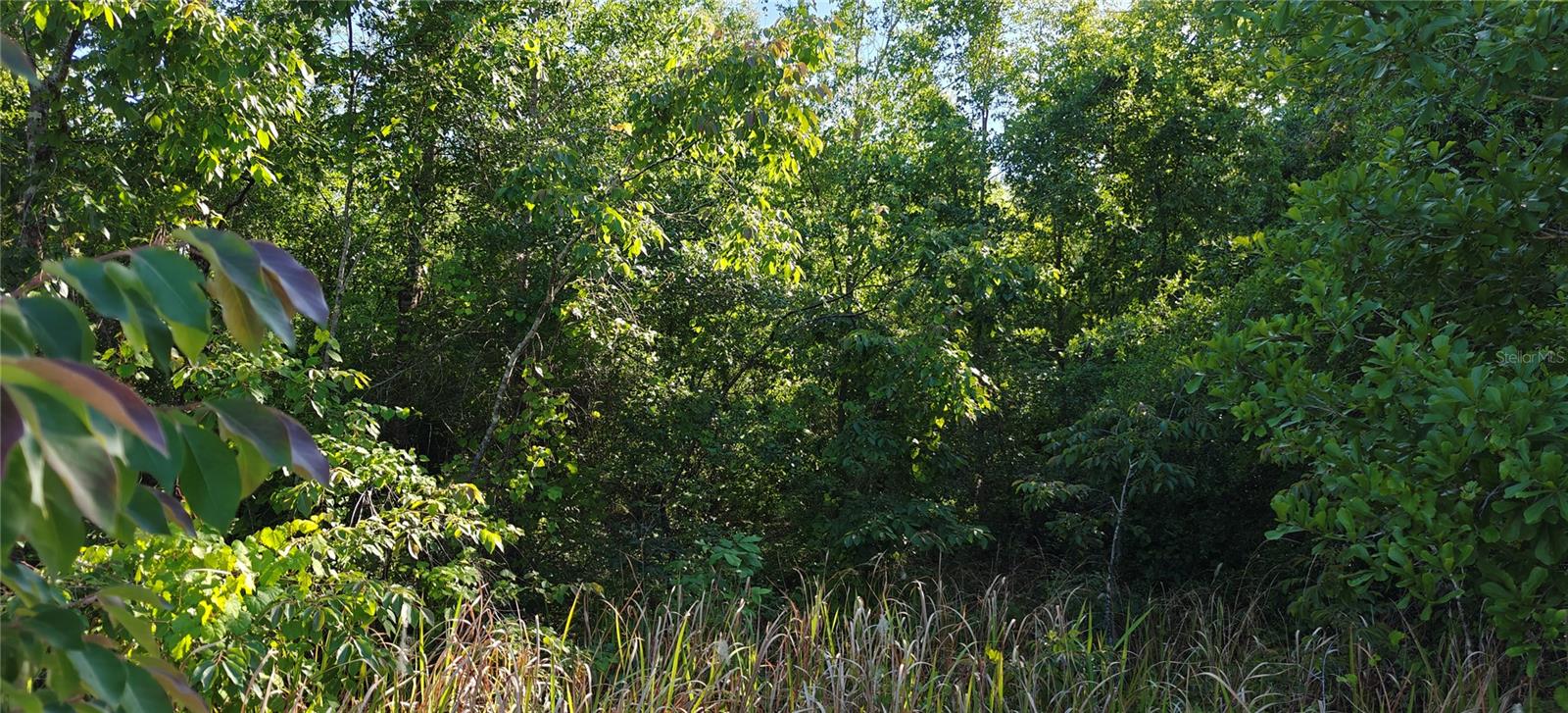 Lot 114 N GOODMAN RD, KISSIMMEE, FL, 34747