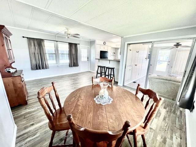 10826 FREEDOM DR, PORT RICHEY, FL, 34668