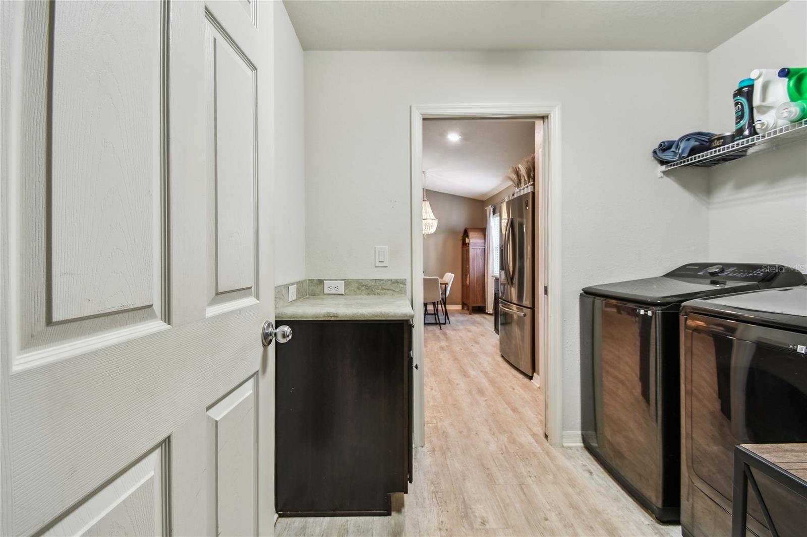 105 BLUE ALICE SPRING CT, RUSKIN, FL, 33570