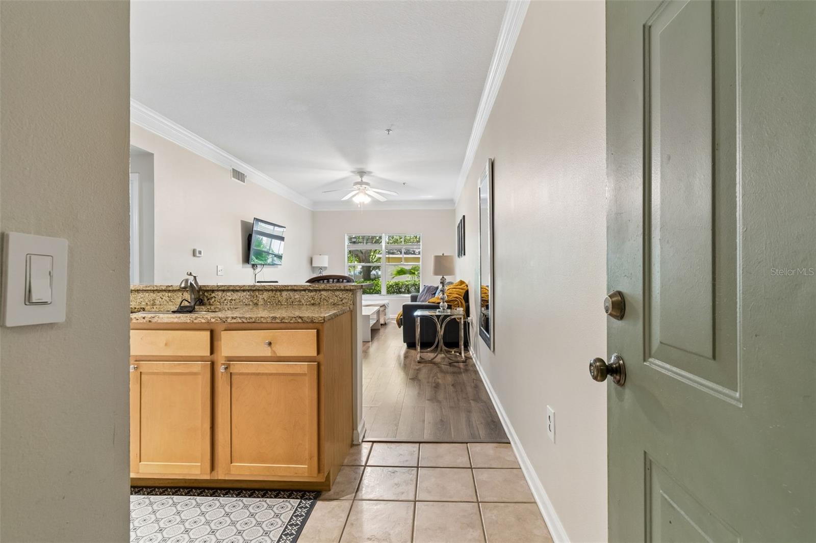 4207 S DALE MABRY HWY #6107, TAMPA, FL, 33611