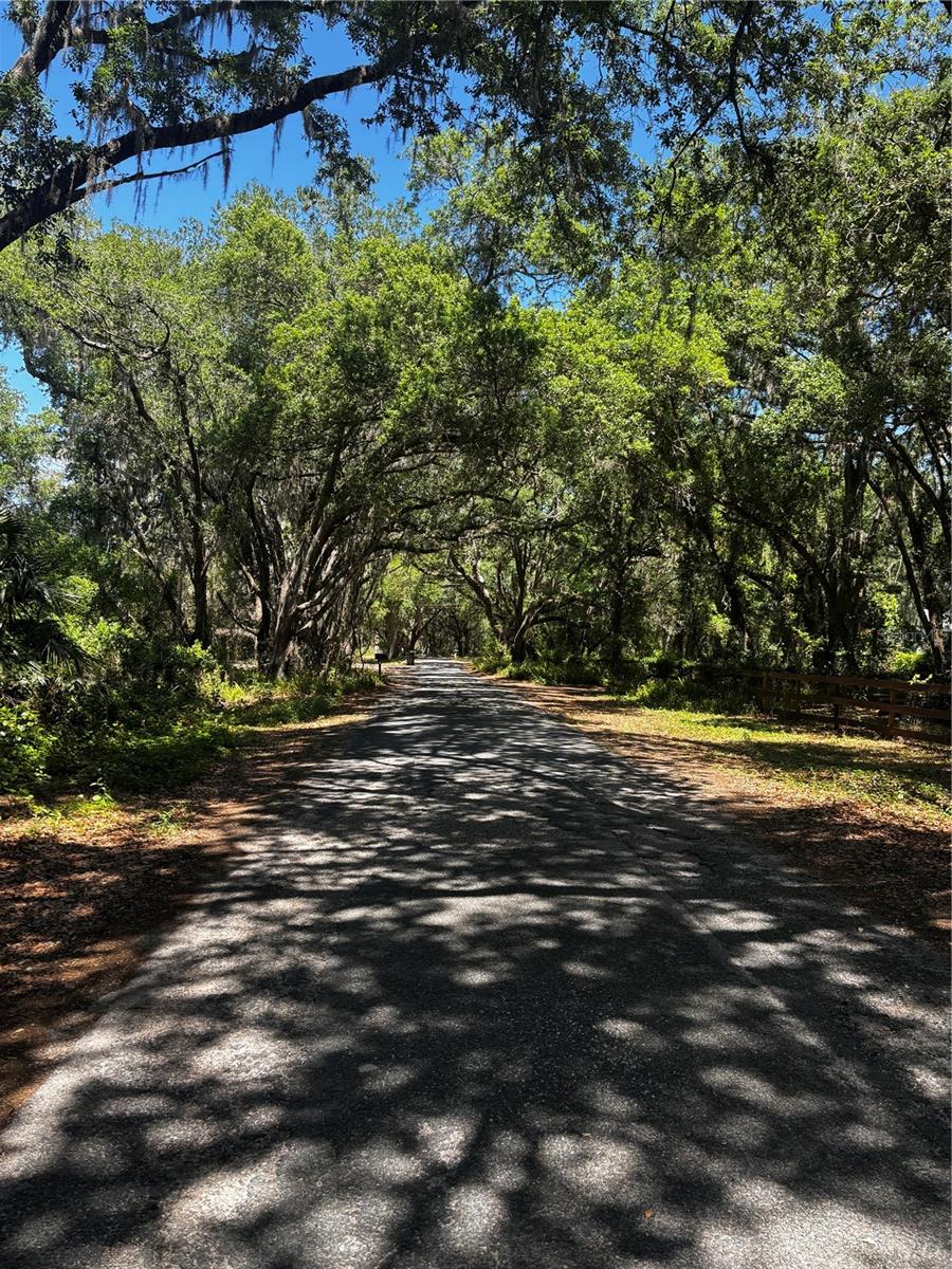 7027 CHARLES HUMPHREY RD, PLANT CITY, FL, 33565