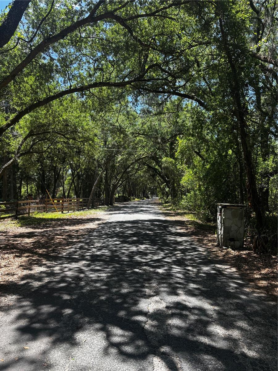 7027 CHARLES HUMPHREY RD, PLANT CITY, FL, 33565