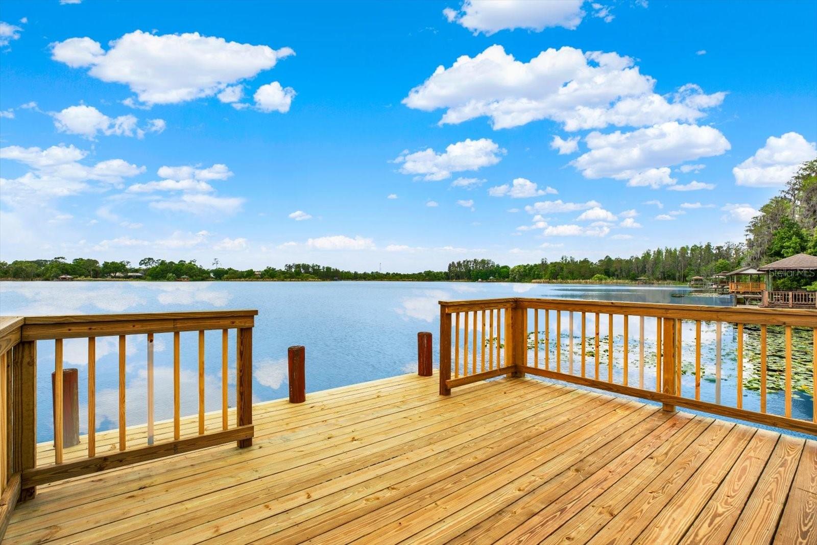 21610 DRAYCOTT WAY, LAND O LAKES, FL, 34637