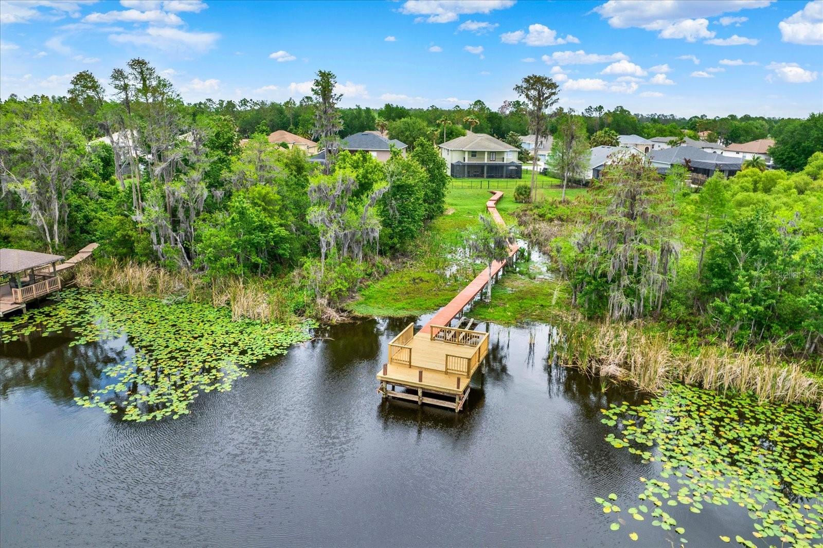 21610 DRAYCOTT WAY, LAND O LAKES, FL, 34637