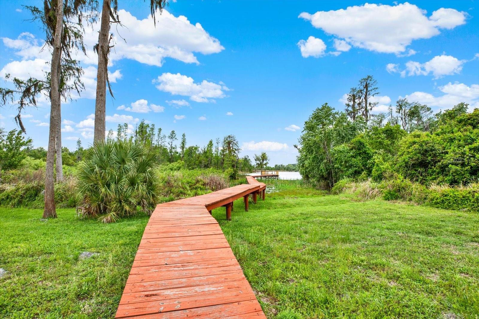 21610 DRAYCOTT WAY, LAND O LAKES, FL, 34637