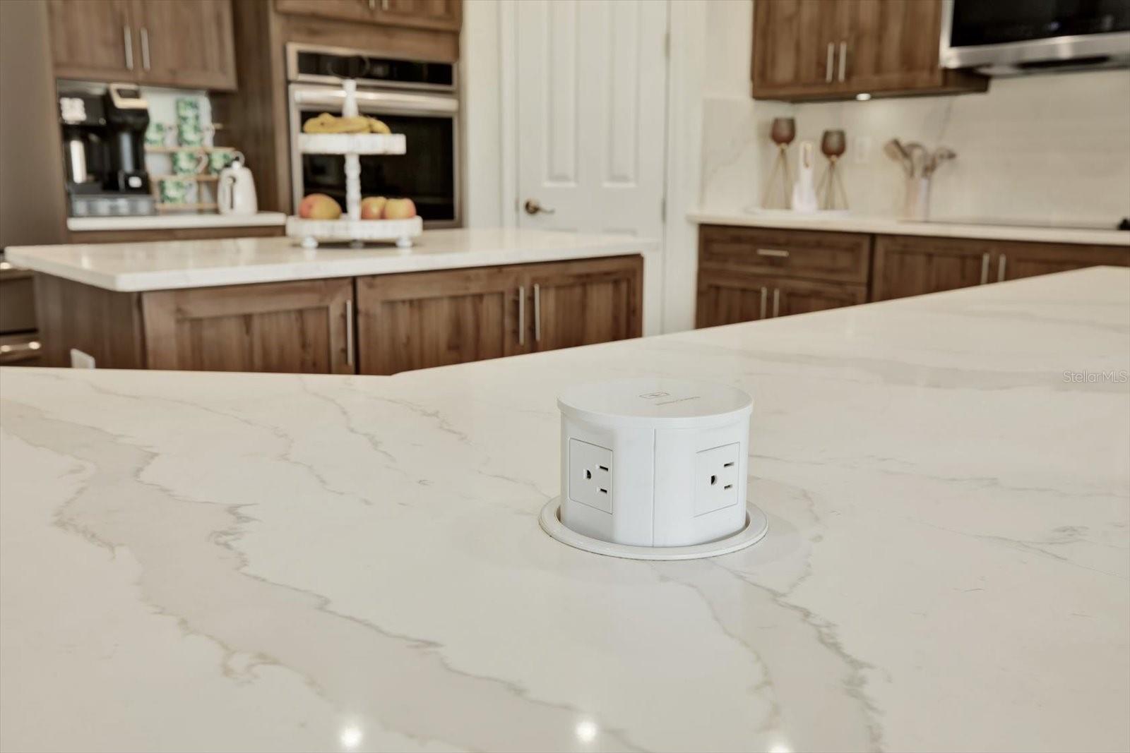 21610 DRAYCOTT WAY, LAND O LAKES, FL, 34637