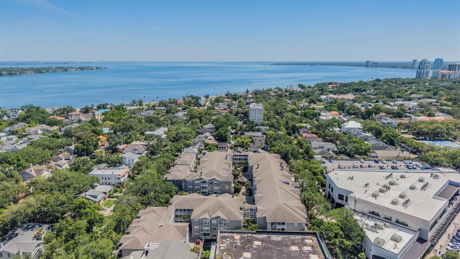 800 S DAKOTA AVE #230, TAMPA, FL, 33606