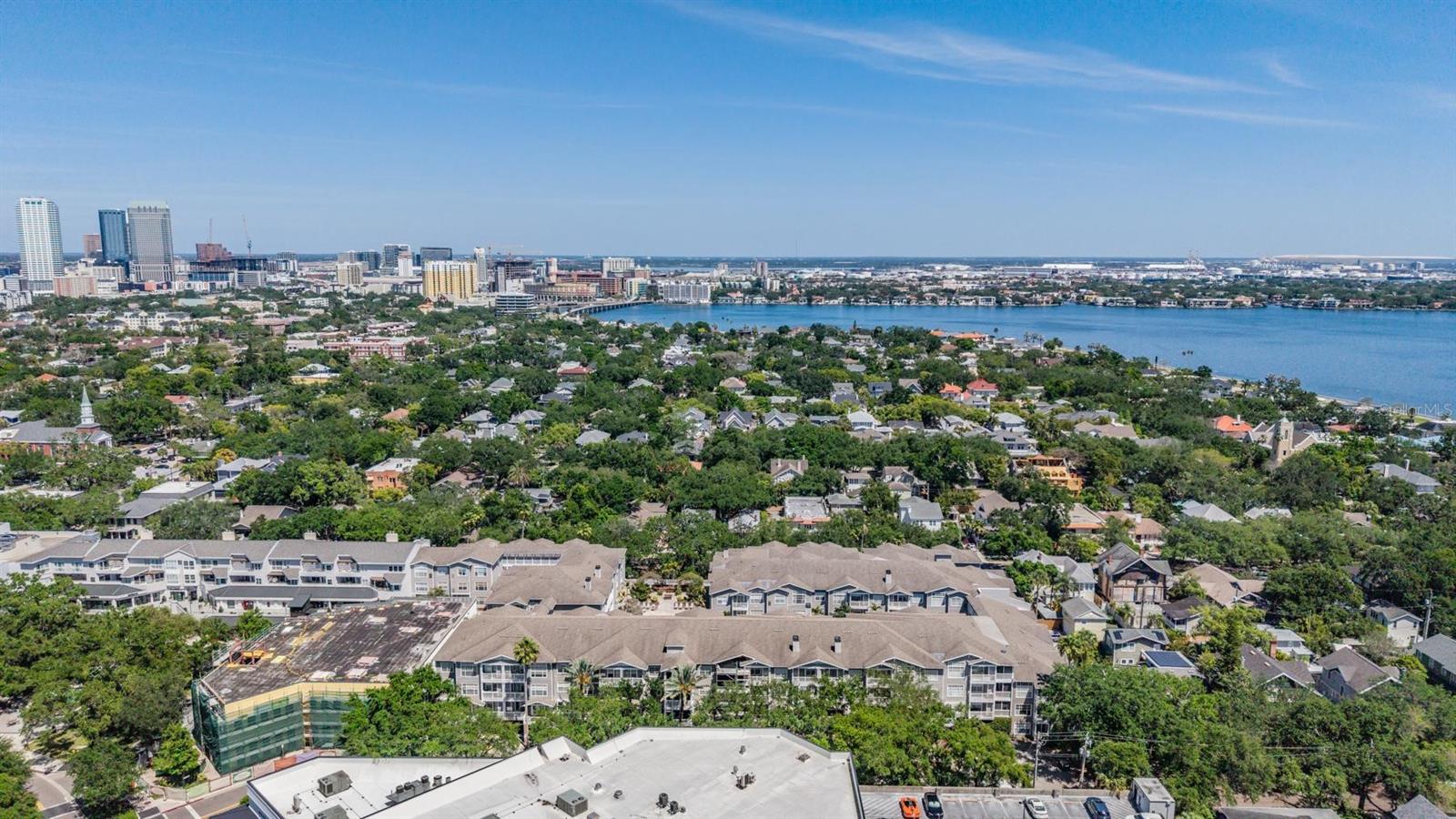 800 S DAKOTA AVE #230, TAMPA, FL, 33606