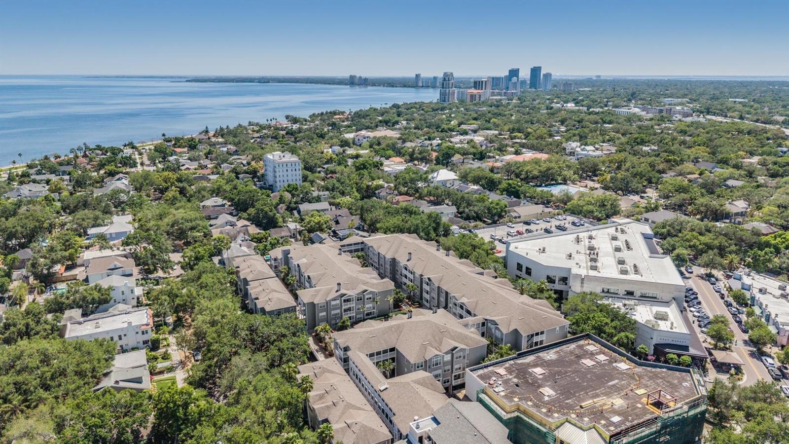 800 S DAKOTA AVE #230, TAMPA, FL, 33606