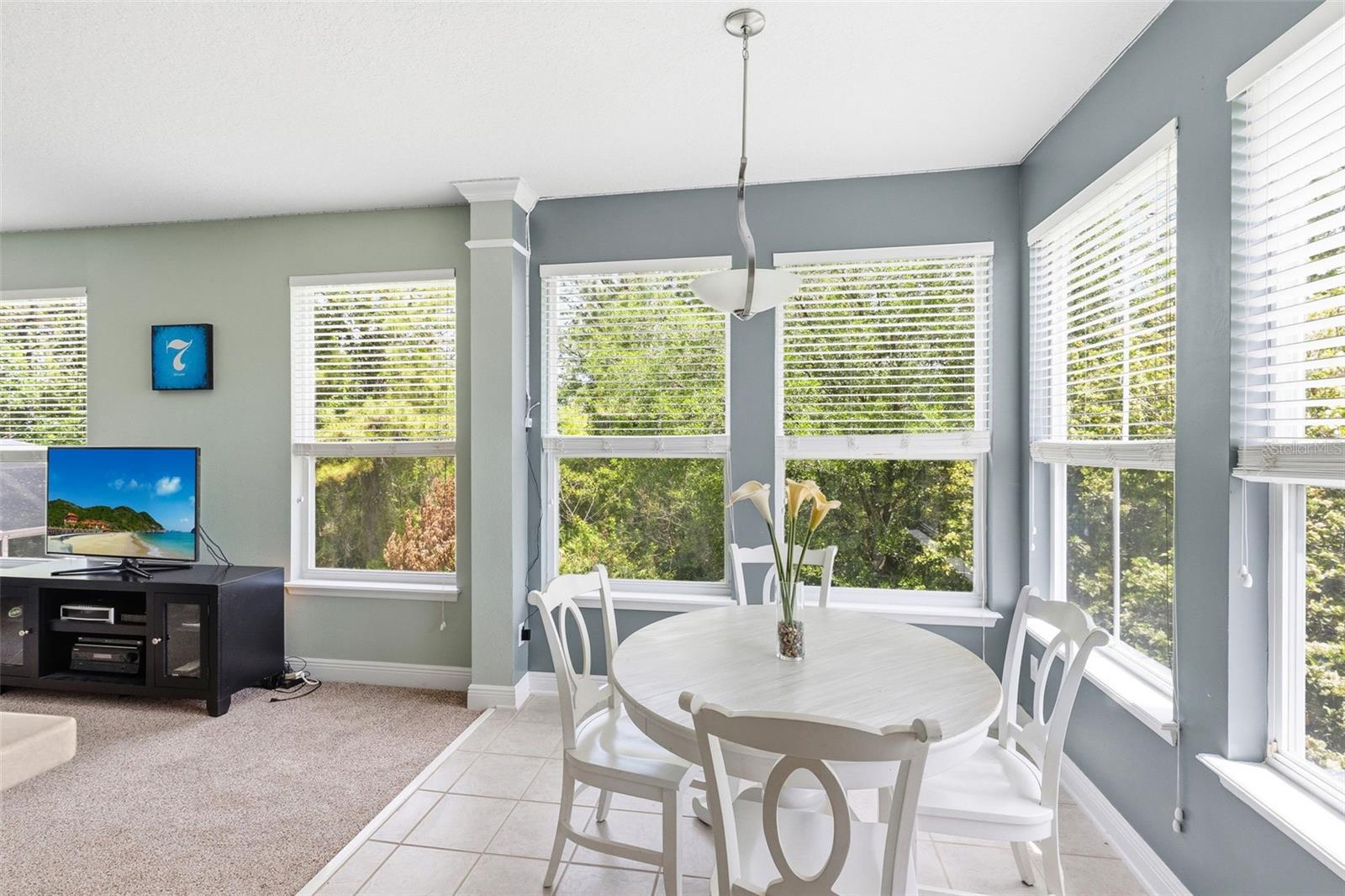 13225 SHARSWOOD CIR, ORLANDO, FL, 32828