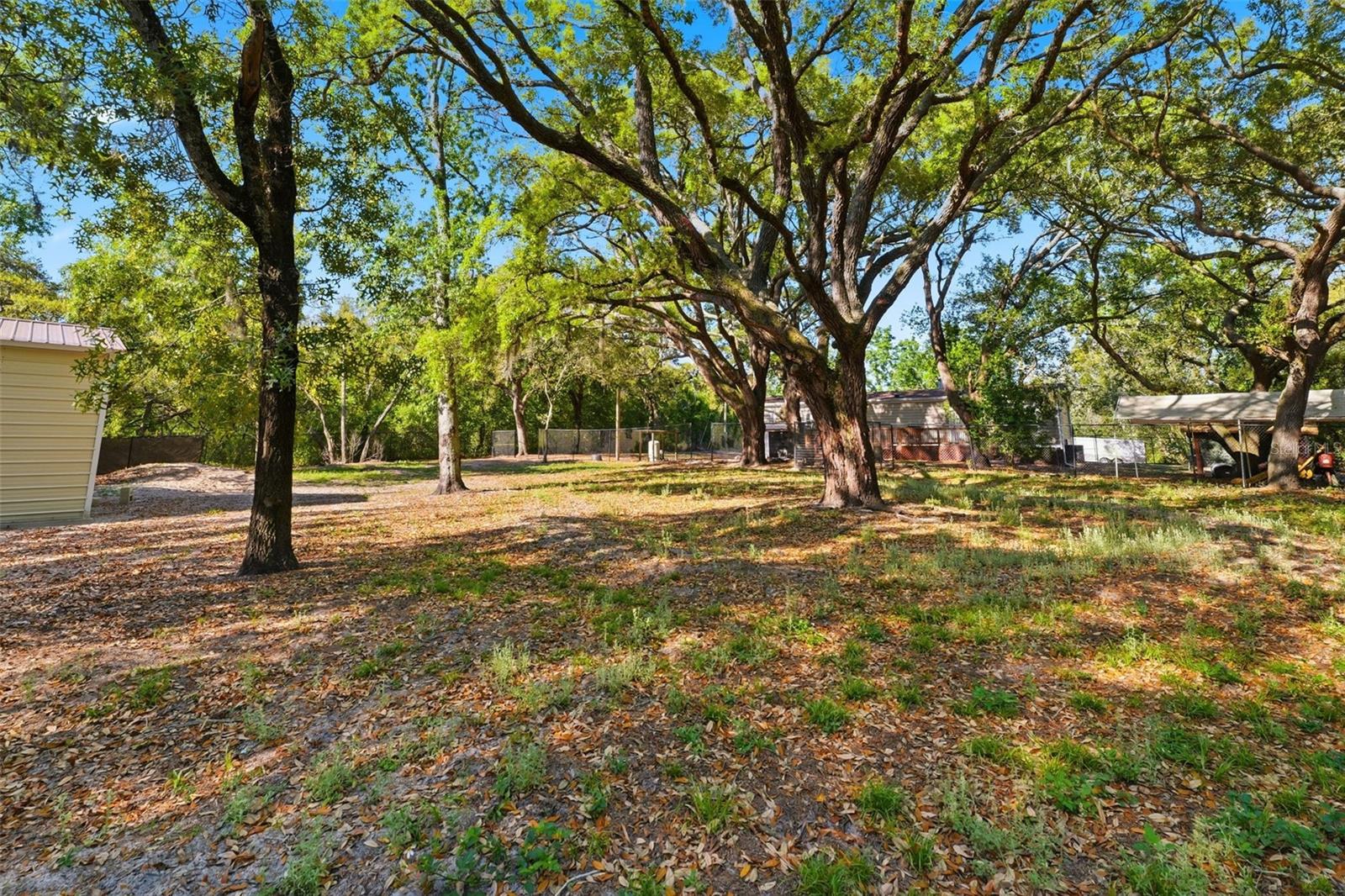 252 SPRING TIME ST, SPRING HILL, FL, 34608