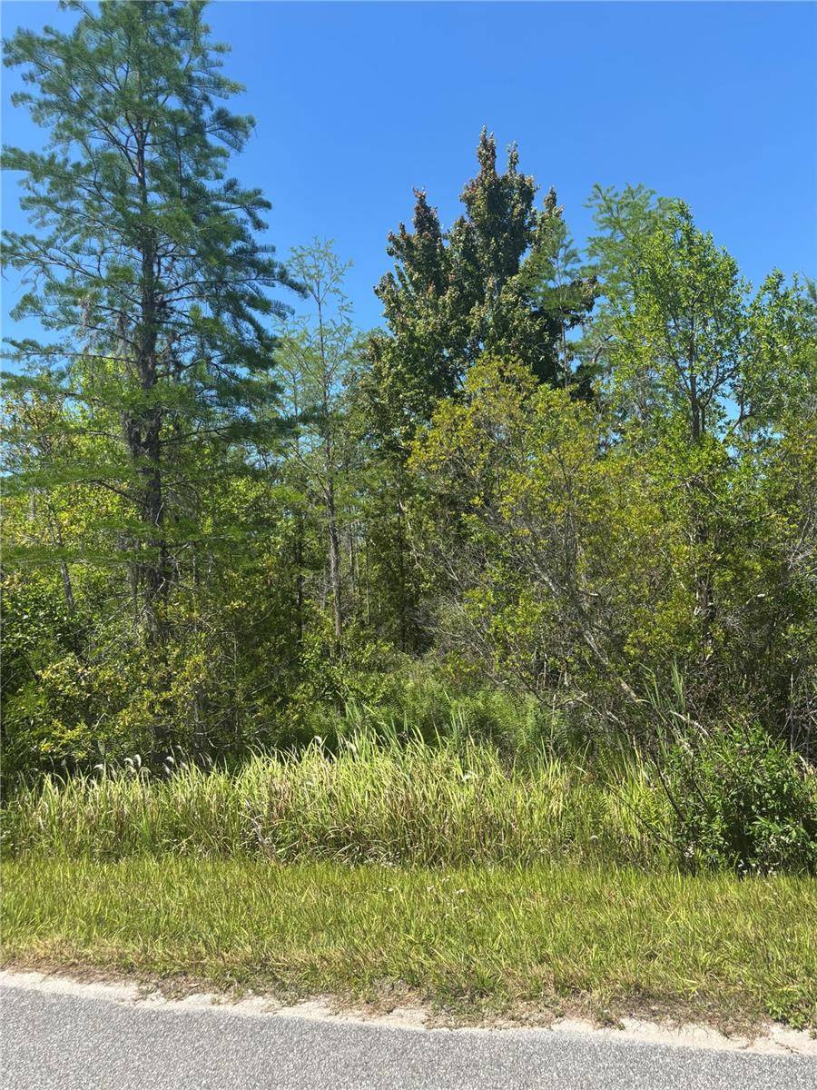 ATLAS DR, ST CLOUD, FL, 34773