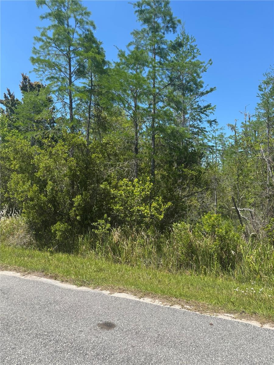 ATLAS DR, ST CLOUD, FL, 34773