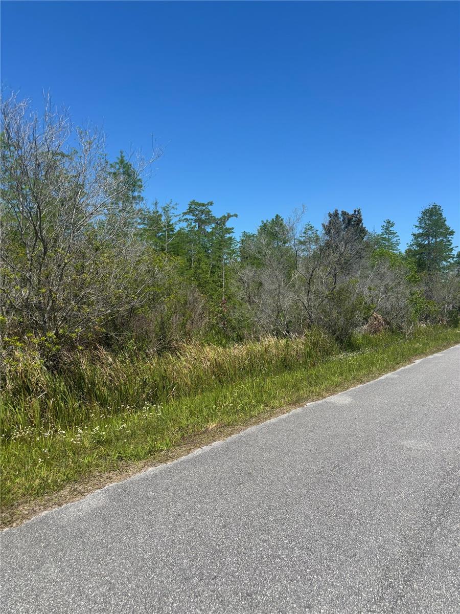 ATLAS DR, ST CLOUD, FL, 34773