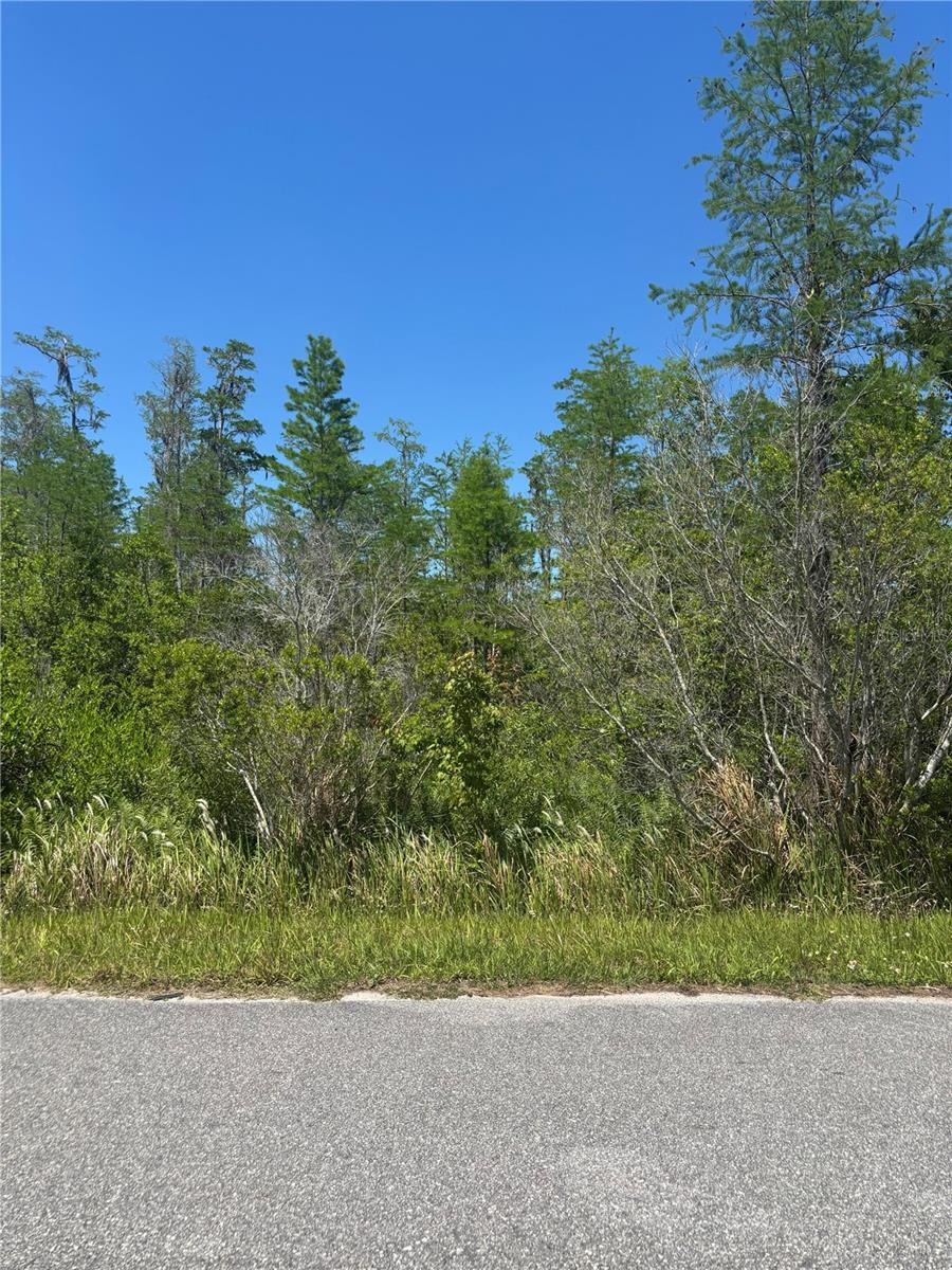 ATLAS DR, ST CLOUD, FL, 34773