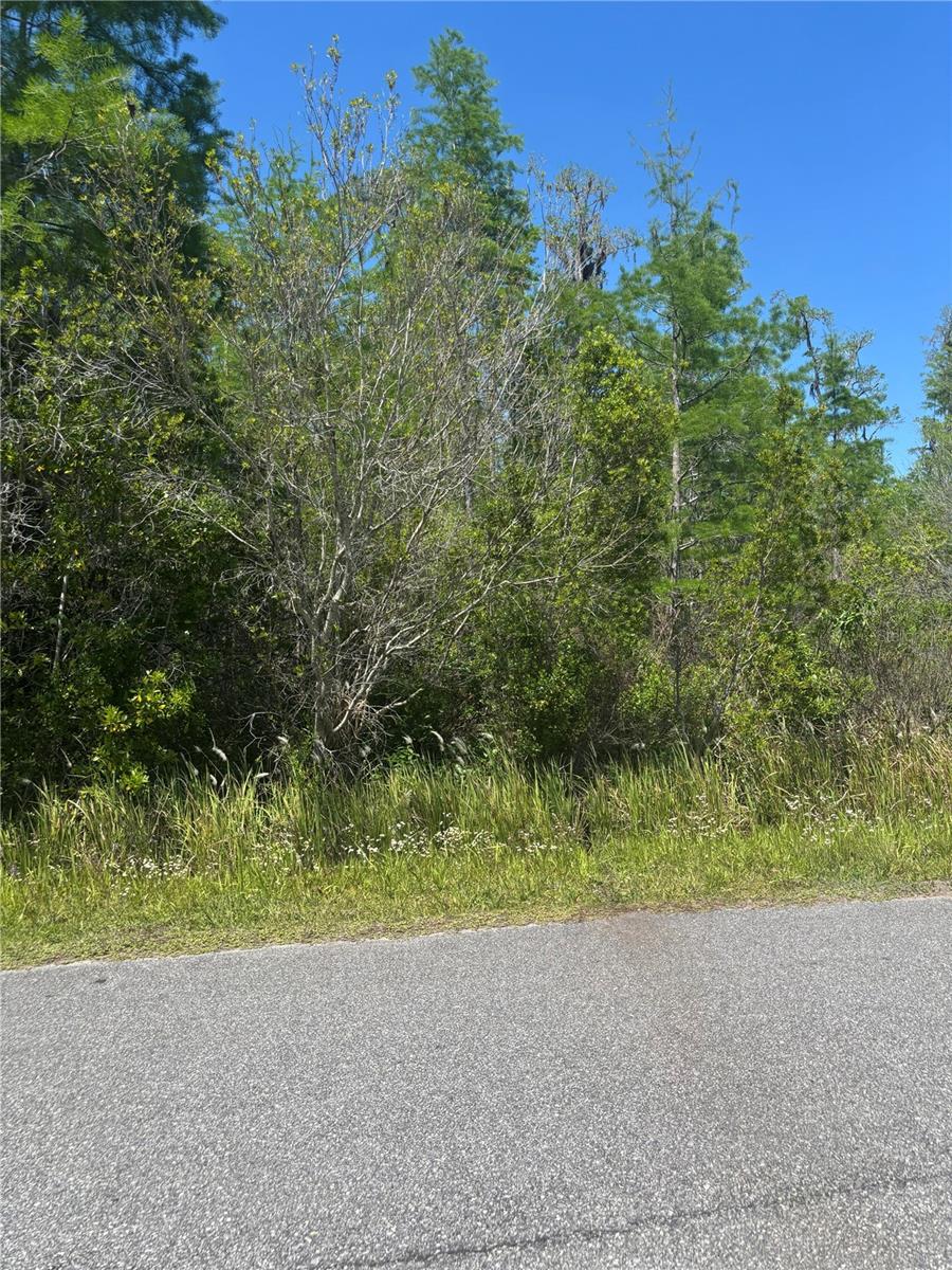 ATLAS DR, ST CLOUD, FL, 34773