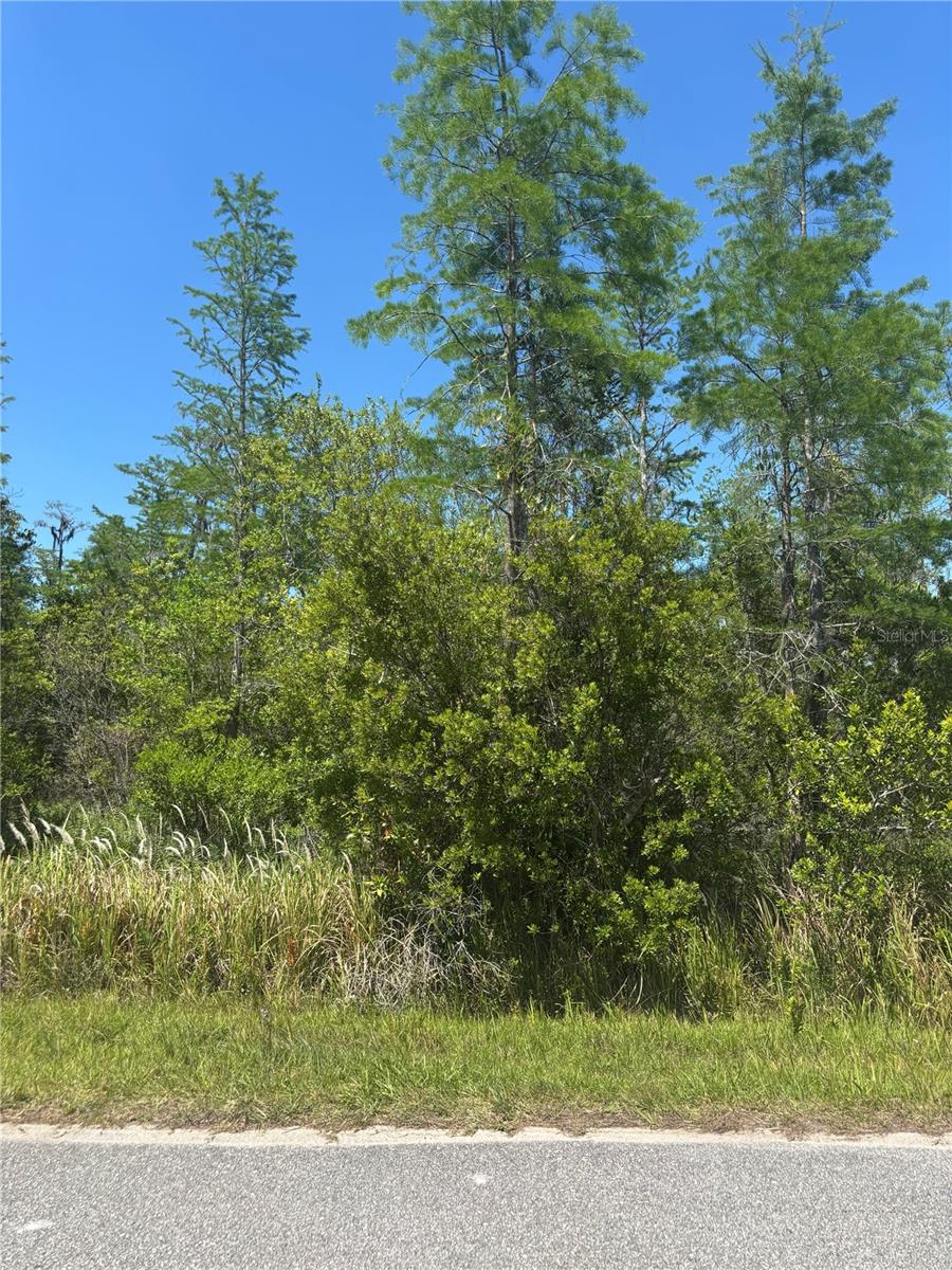 ATLAS DR, ST CLOUD, FL, 34773