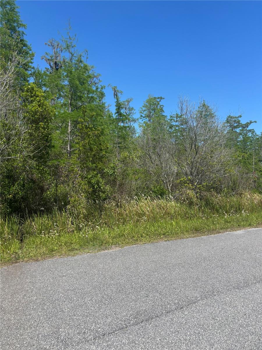 ATLAS DR, ST CLOUD, FL, 34773