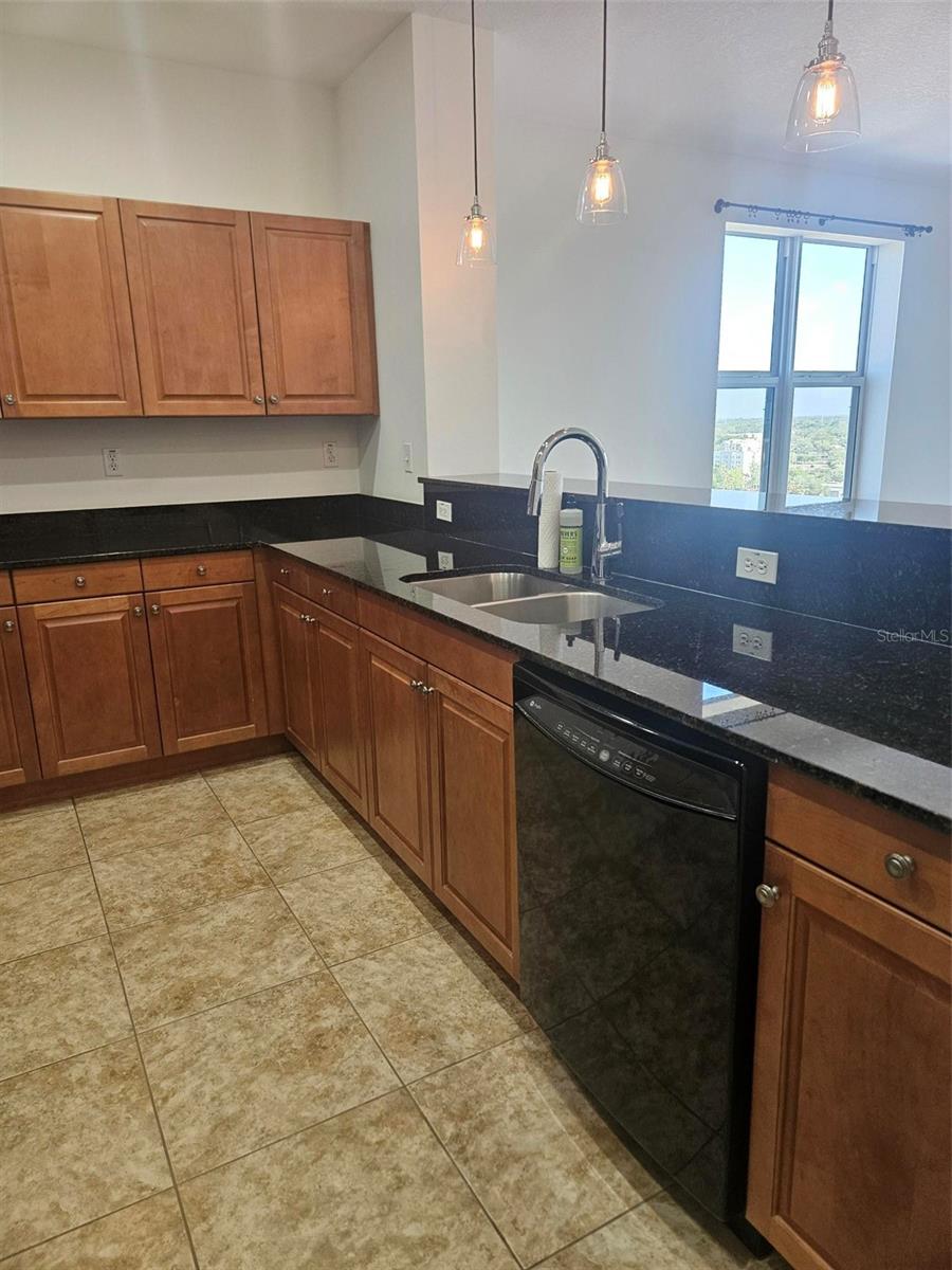 628 CLEVELAND ST #1313, CLEARWATER, FL, 33755