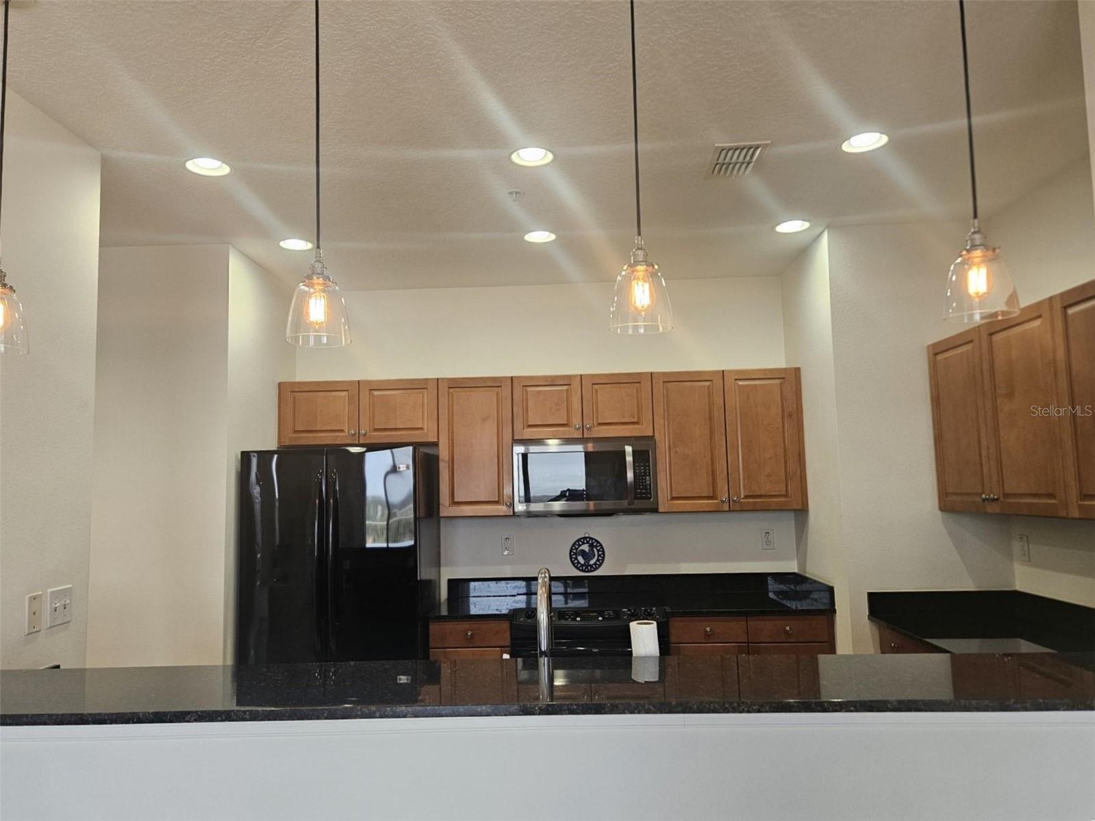 628 CLEVELAND ST #1313, CLEARWATER, FL, 33755