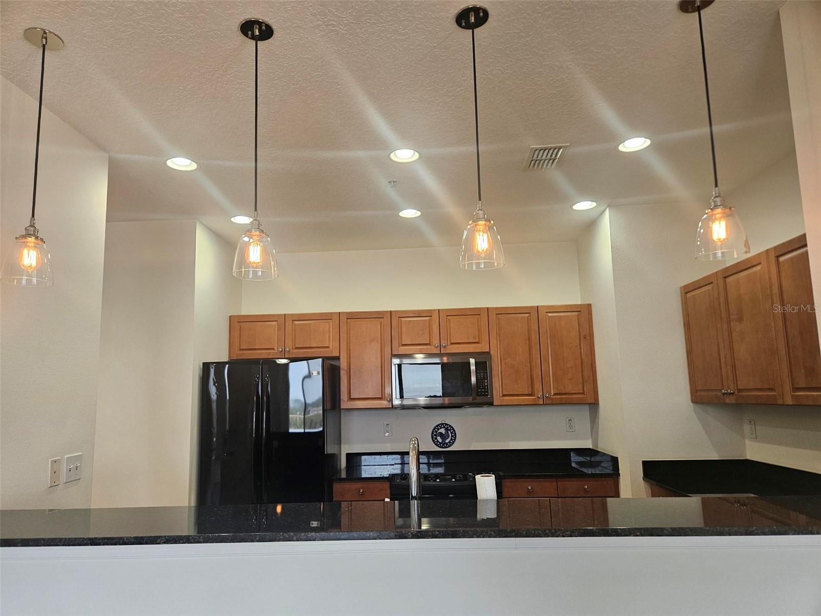 628 CLEVELAND ST #1313, CLEARWATER, FL, 33755