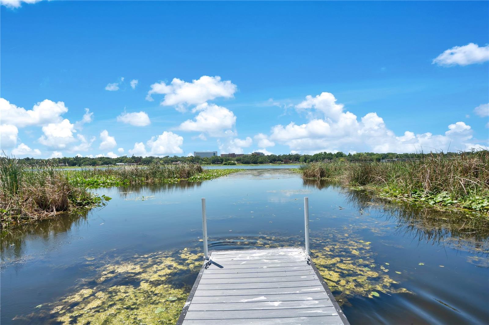 1342 HERITAGE LANDINGS DR, LAKELAND, FL, 33805