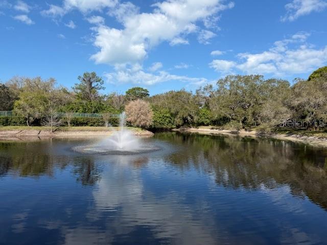 1913 WHISPERING WAY, TARPON SPRINGS, FL, 34689