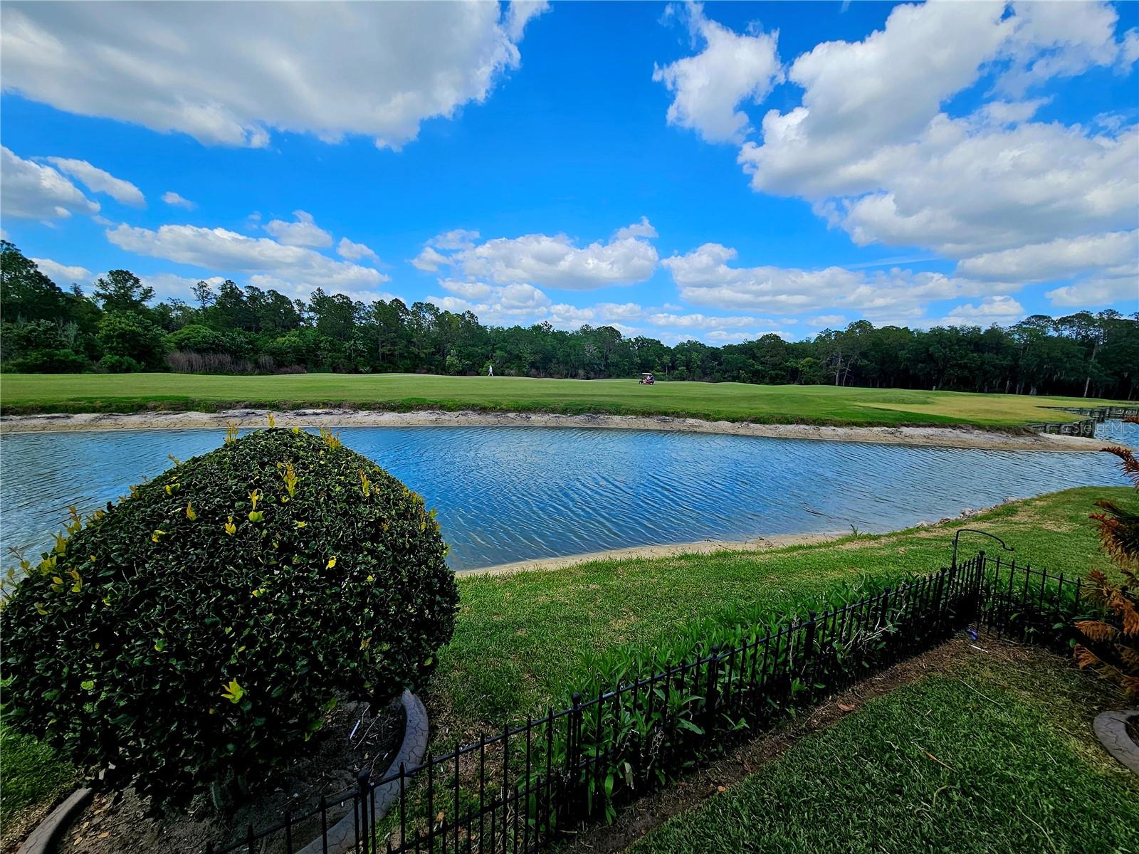 2352 PEAVINE CIR #1016, LAKELAND, FL, 33810