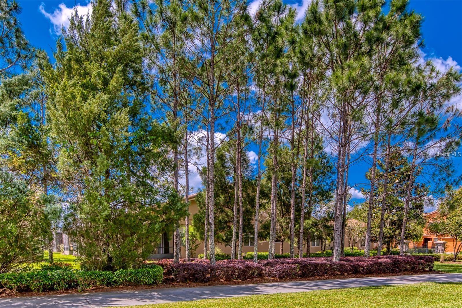 2310 PALM TREE DR, POINCIANA, FL, 34759