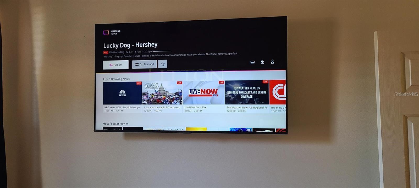 2310 PALM TREE DR, POINCIANA, FL, 34759