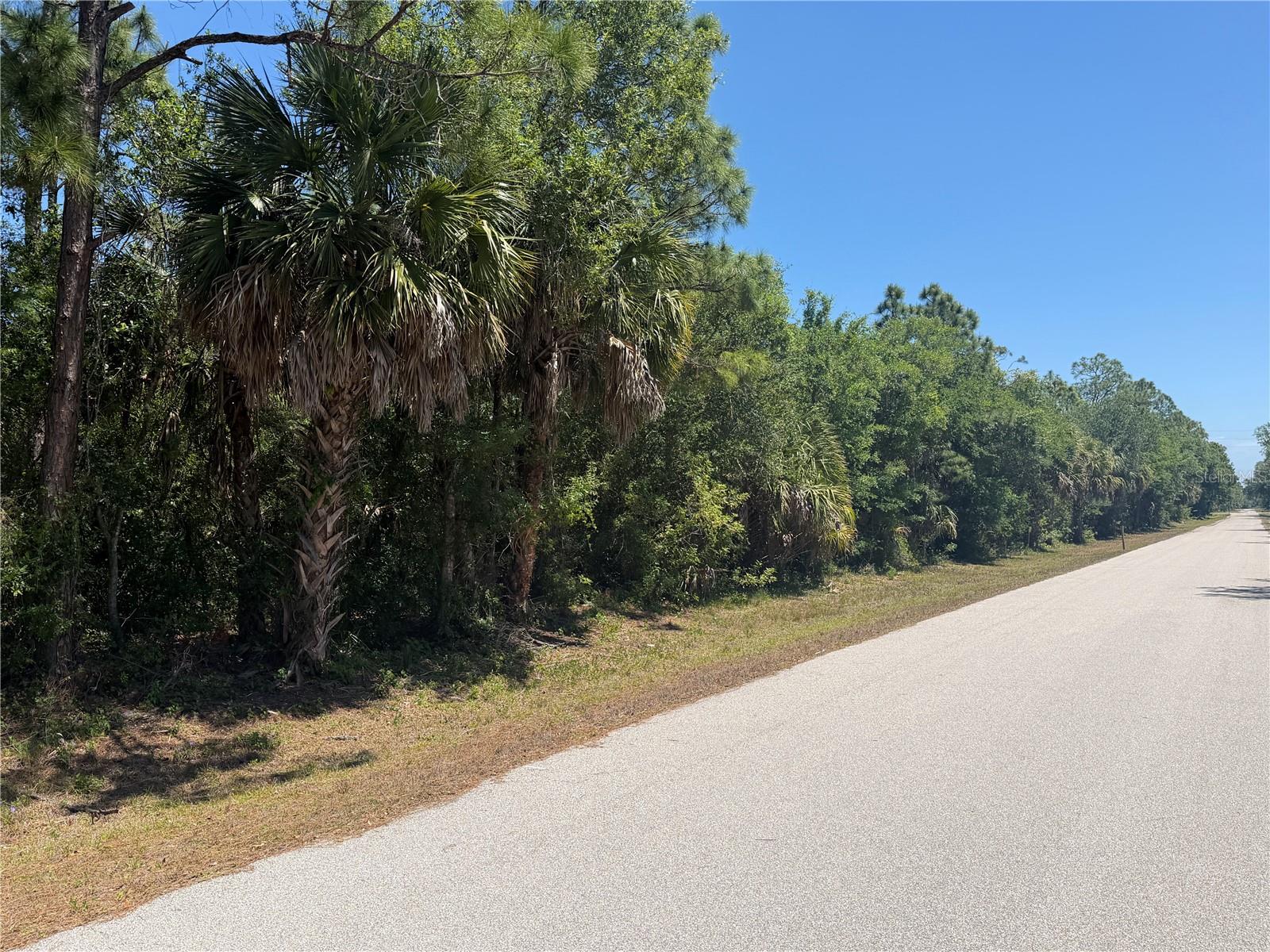 26180 HAPSBURG RD, PUNTA GORDA, FL, 33955