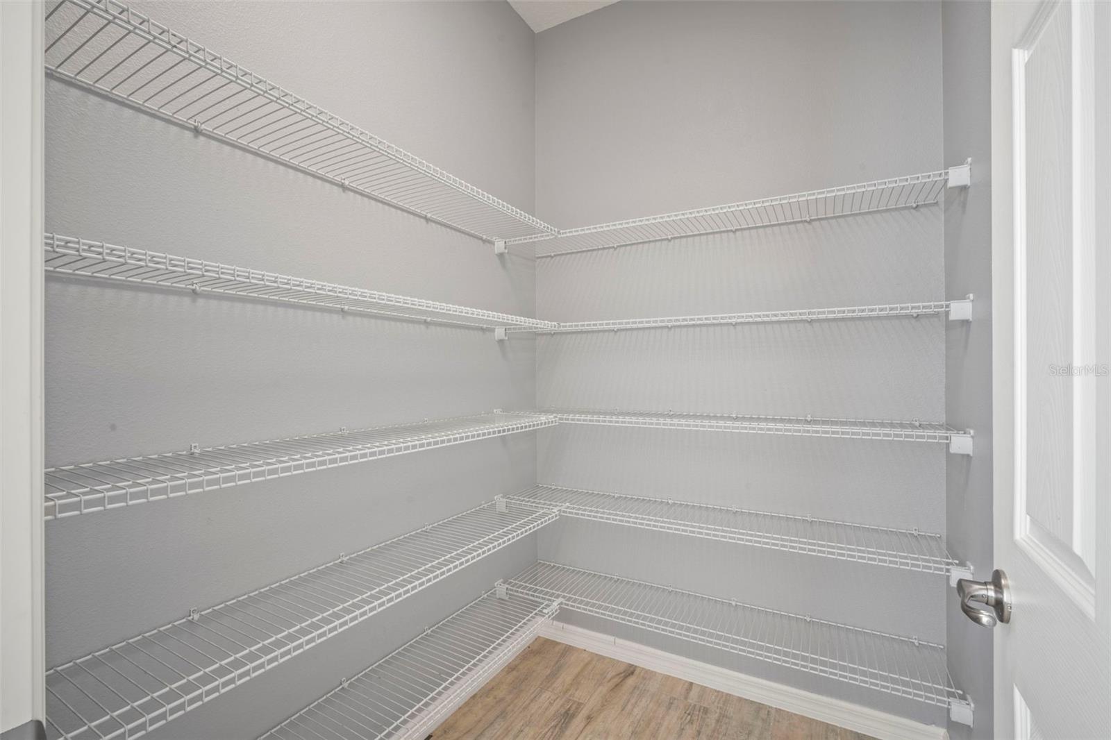 3261 BETHPAGE LOOP, MOUNT DORA, FL, 32757