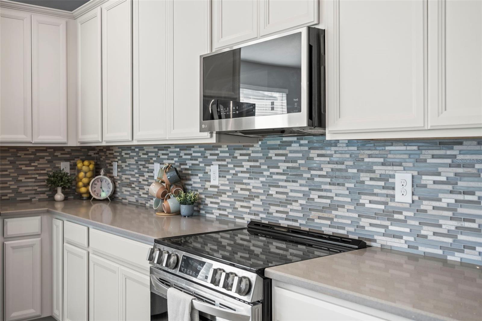 3261 BETHPAGE LOOP, MOUNT DORA, FL, 32757