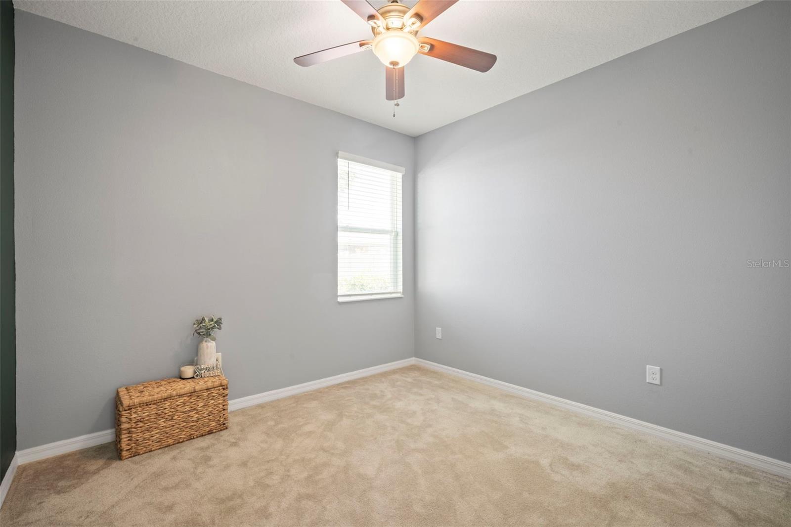 3261 BETHPAGE LOOP, MOUNT DORA, FL, 32757