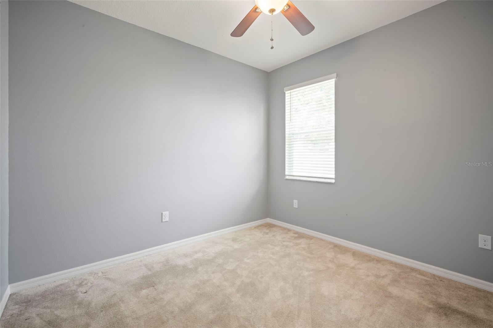 3261 BETHPAGE LOOP, MOUNT DORA, FL, 32757