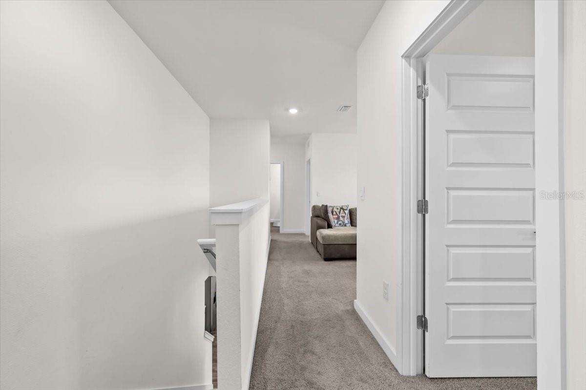 31891 OYSTER TRELLIS LN, WESLEY CHAPEL, FL, 33545