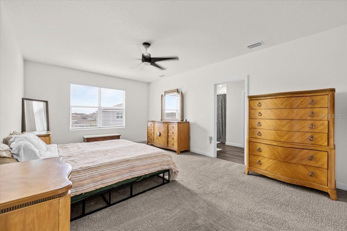 31891 OYSTER TRELLIS LN, WESLEY CHAPEL, FL, 33545