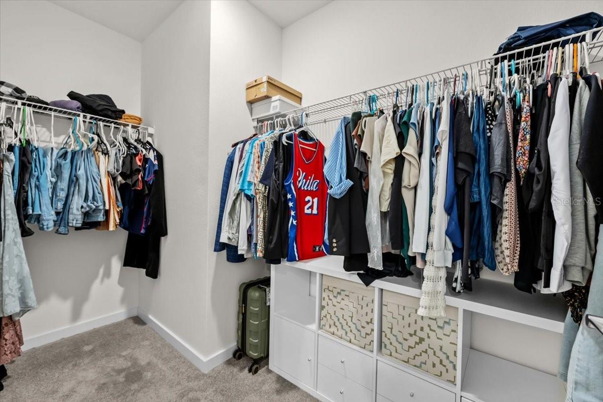 31891 OYSTER TRELLIS LN, WESLEY CHAPEL, FL, 33545