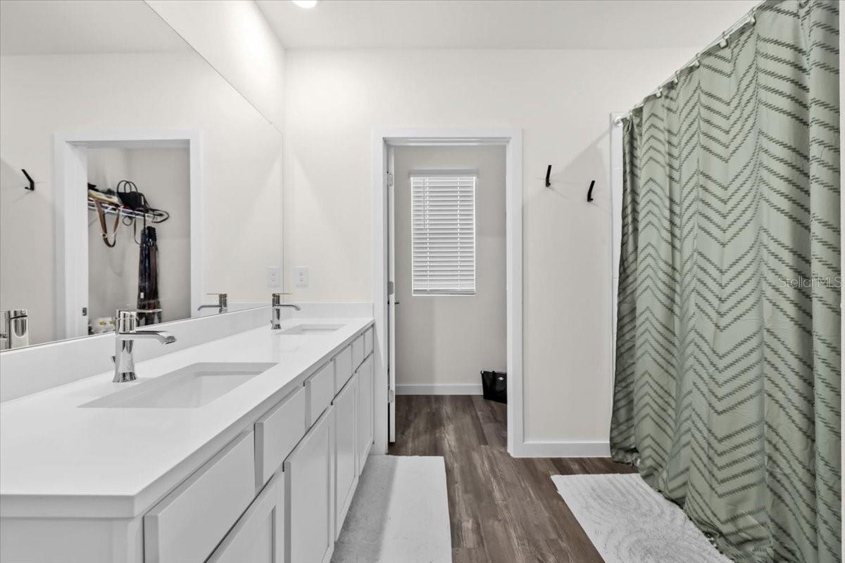 31891 OYSTER TRELLIS LN, WESLEY CHAPEL, FL, 33545