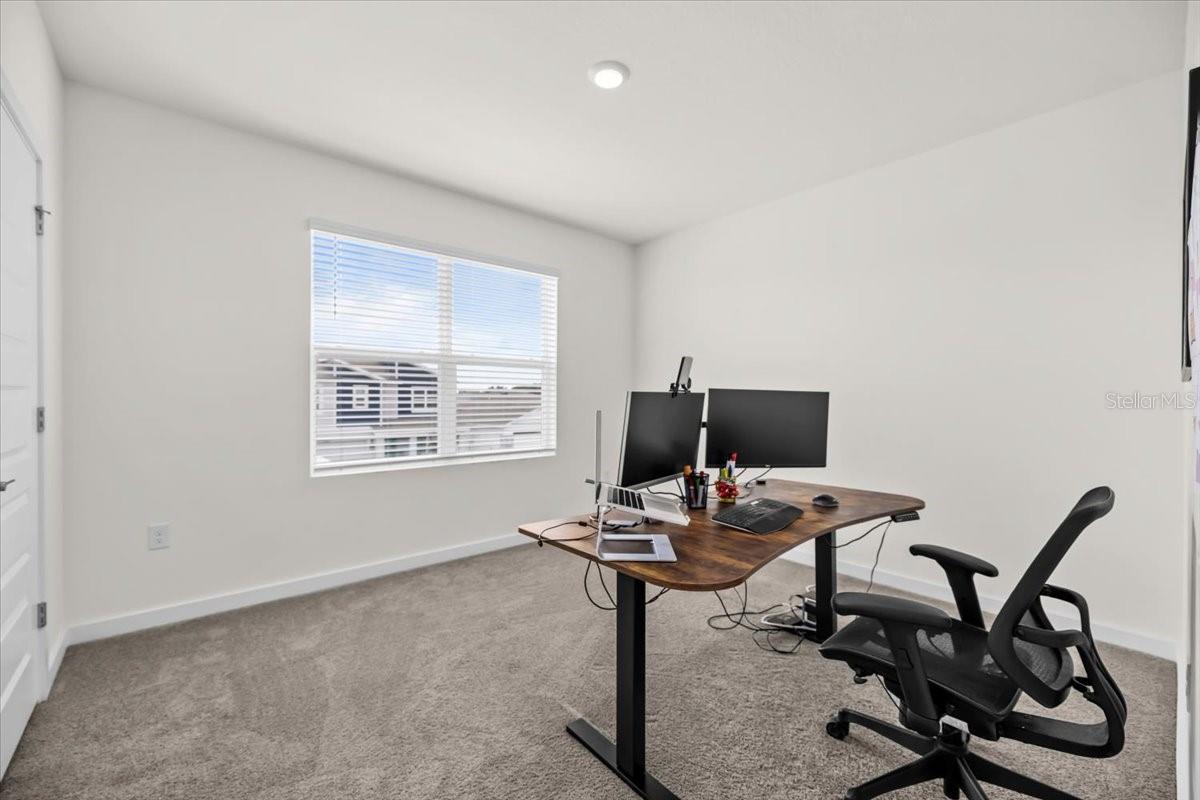 31891 OYSTER TRELLIS LN, WESLEY CHAPEL, FL, 33545