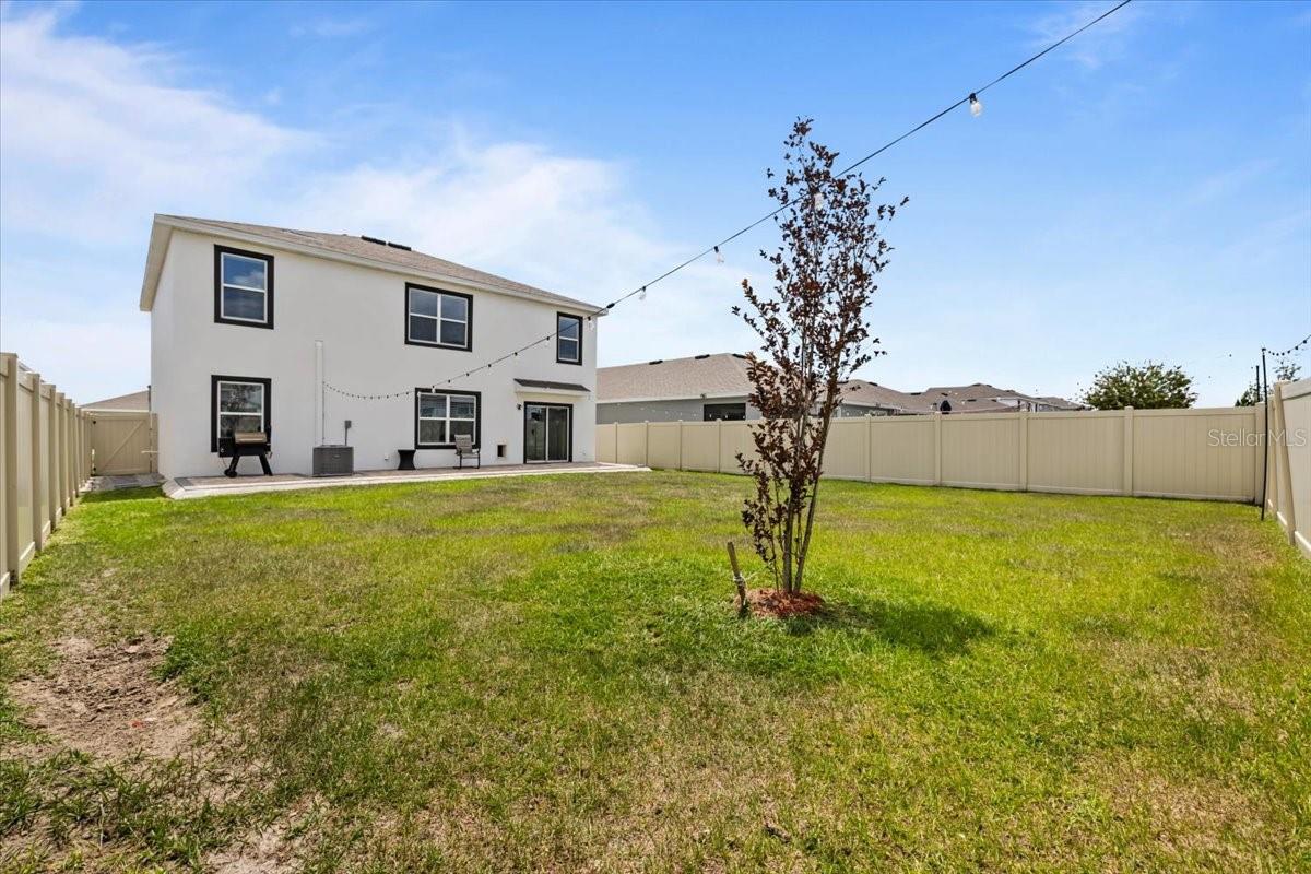 31891 OYSTER TRELLIS LN, WESLEY CHAPEL, FL, 33545