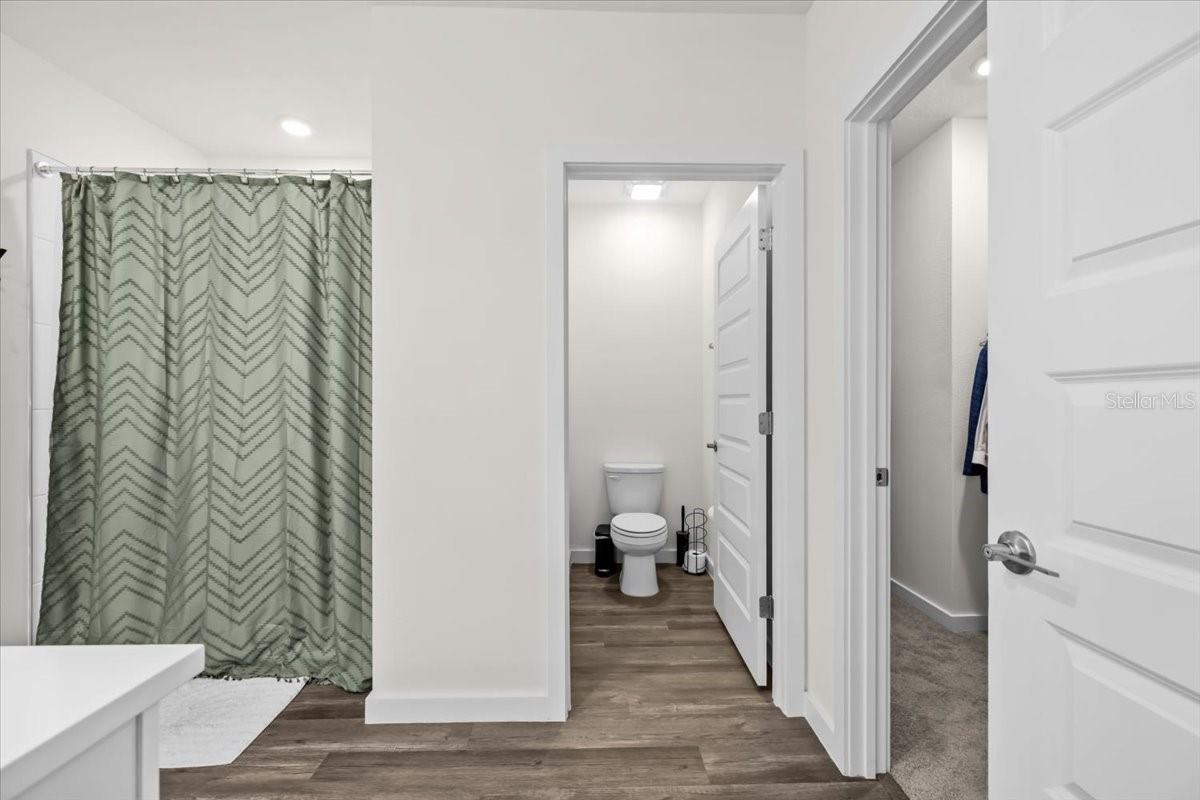 31891 OYSTER TRELLIS LN, WESLEY CHAPEL, FL, 33545