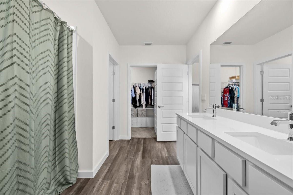 31891 OYSTER TRELLIS LN, WESLEY CHAPEL, FL, 33545