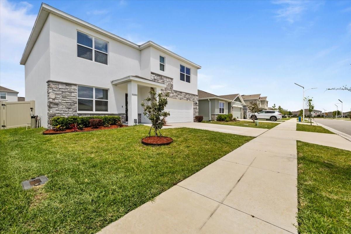 31891 OYSTER TRELLIS LN, WESLEY CHAPEL, FL, 33545