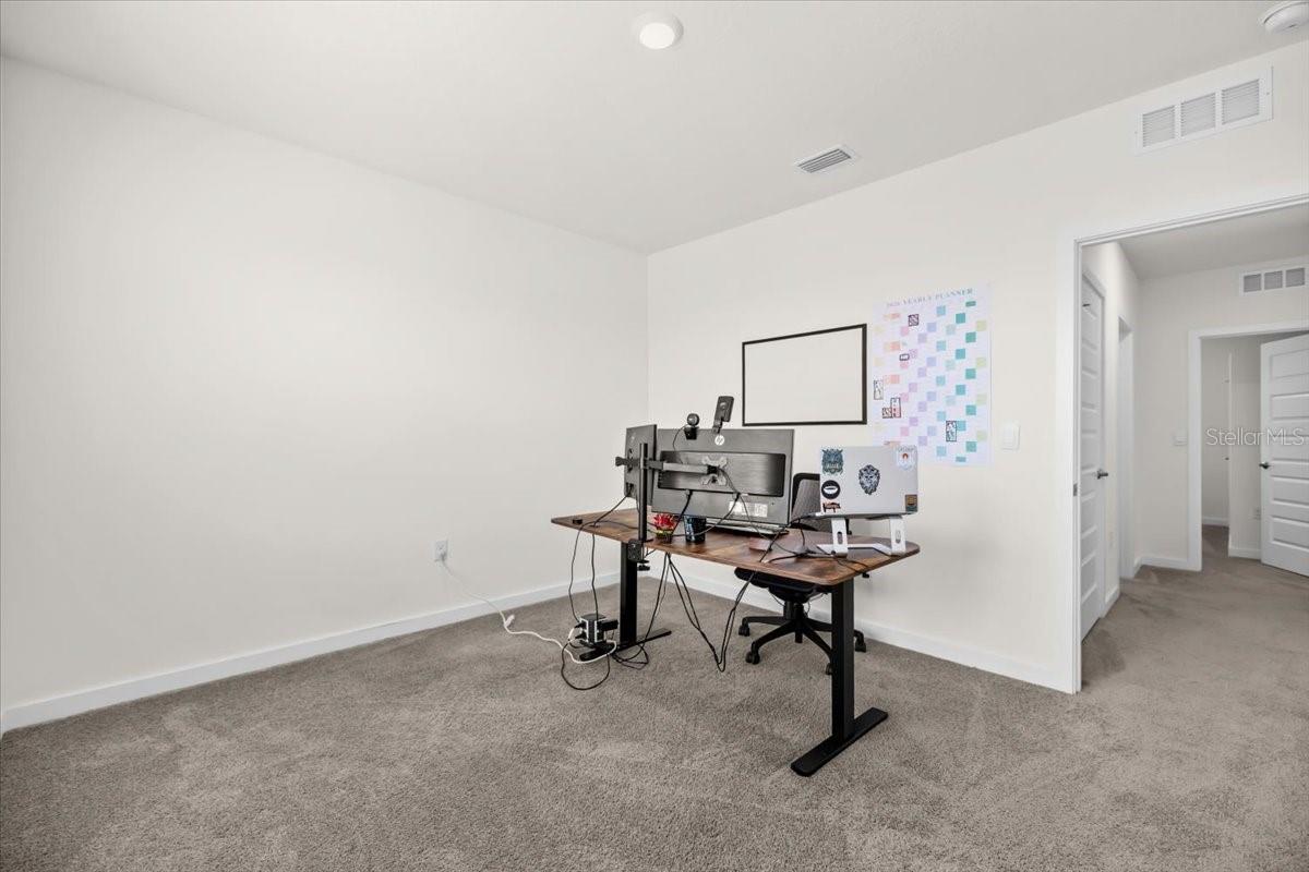 31891 OYSTER TRELLIS LN, WESLEY CHAPEL, FL, 33545