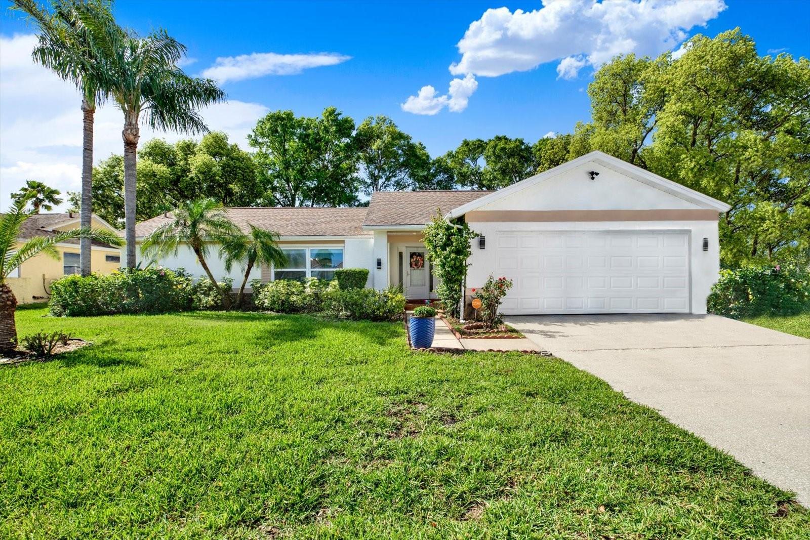 9806 DIDRIKSON DR, NEW PORT RICHEY, FL, 34655