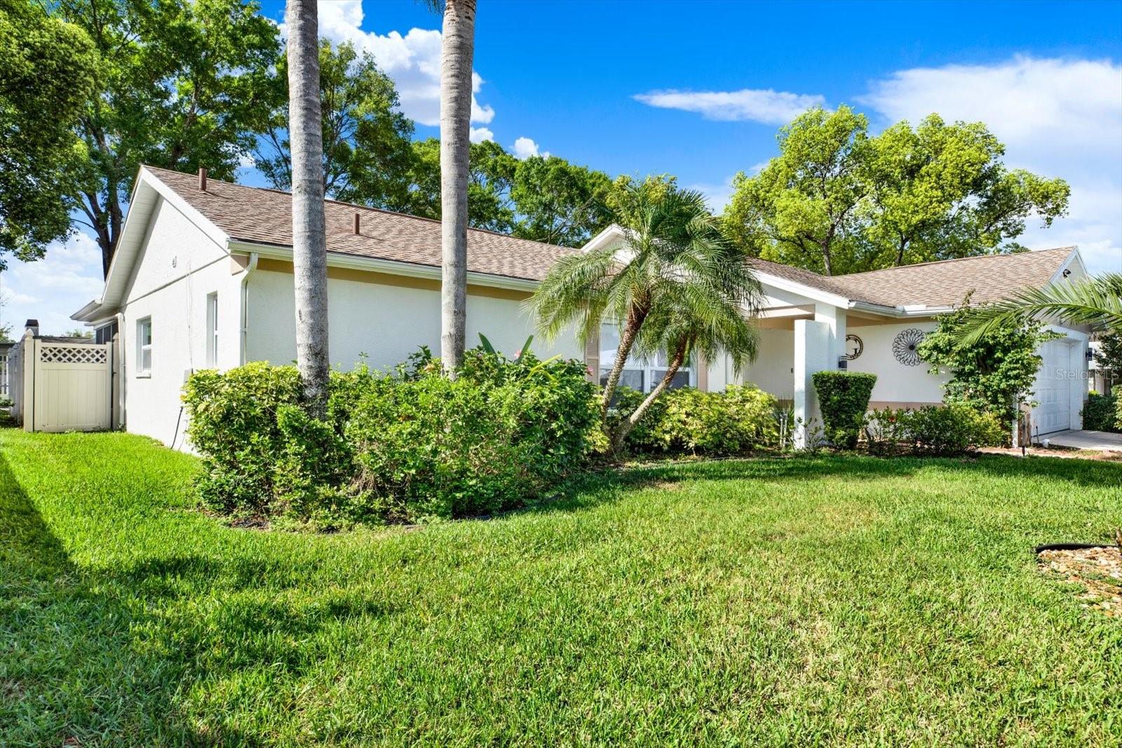 9806 DIDRIKSON DR, NEW PORT RICHEY, FL, 34655
